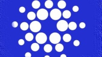What will happen after this fork in Cardano?
