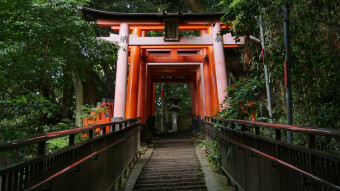 The sacred grounds of Fushimi Inari, Japan