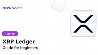 What Is XRPL? A Simple Beginner’s Guide