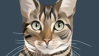 🍞 Saturday May 7 - 2022 🍞 @MetaCats_