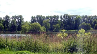 A calm day after Sunday's storms - My Actifit Report Card: May 20 2024