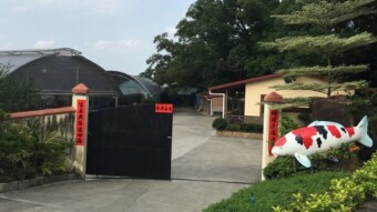 Zhongshan. Part 2. Fish farm.