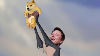 Dogecoin, the biggest bubble of all time... and someone to blame for this.