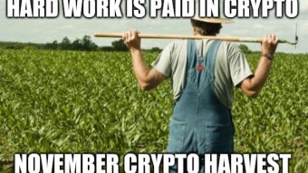 November crypto-harvest