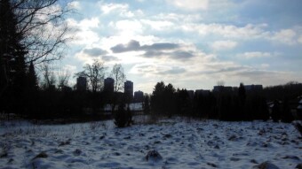 Another beautiful winter day - My Actifit Report Card: February 9 2023