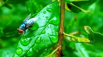 WATER DROPS Photography.