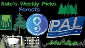 Solo's weekly picks: Forests