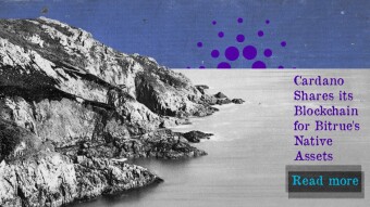 Cardano Shares Its Blockchain For Bitrue’s Native Assets
