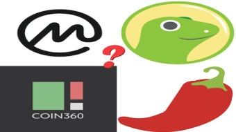 Coinmarketcap &/or Coingecko - What is this and How does it work?