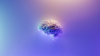 My Mental Chase