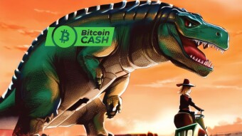 Bitcoin Cash is Back? Why I'm Not So Sure