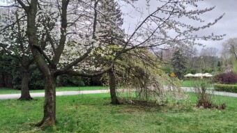 Monday Full of Everything - My Actifit Report Card: April 20, 2026