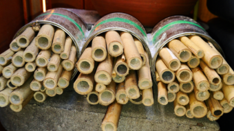 Building a home for bees in my garden
