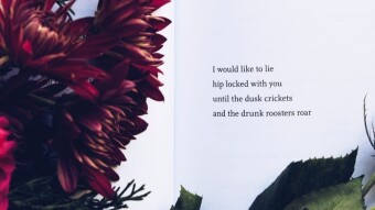 Poetry: The Luxury of The Brokenhearted.