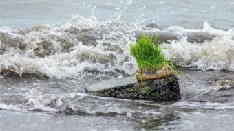 "Nature’s Day" or "Unlucky Thirteen "! Which One It Is?