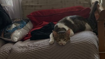 LOCOstories #16 After hard work destroying our house