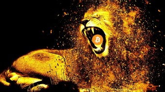 Bitcoin Is Not Gold 2.0 - So What Is It?
