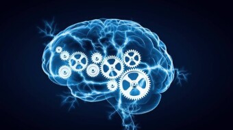 Grades DO Define Your Intelligence