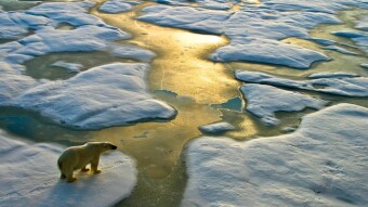 About UK government's fight against climate change and the unique concept of Kaya Identity