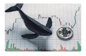 Looking for a big chance, bet on