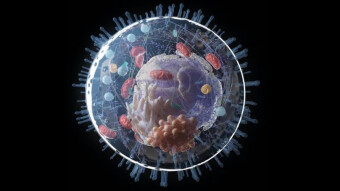 Intracellular Compartments, An Introduction