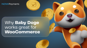 Benefits of accepting Baby Doge coin on WooCommerce