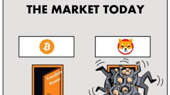 When a Sh*tcoin Like SHIBA INU Goes Parabolic, Don’t Lose Sight of Why You Bought Bitcoin