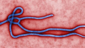 New Case of the Ebola Virus Detected in the DR Congo