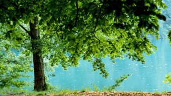 Money Printing and Climate Destruction