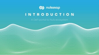 What is Nulswap? A Brief Introduction