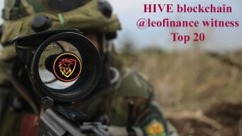 Like a sniper @leofinance witness has the Consensus spot insight ranking on 25th place