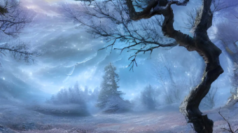 Frosty winter days