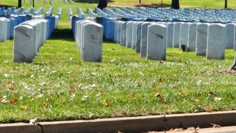 Arlington National Cemetery 2 of 26