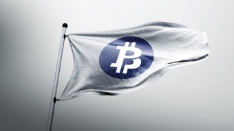 why bitcoin maximalism could fail horribly.