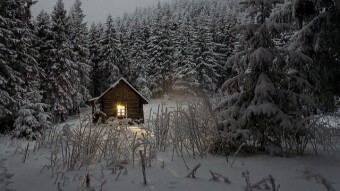 Alone in the snow (5 minute freewrite)