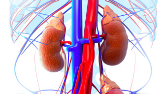 The Three Most Common Causes of Kidney Failure