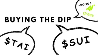 Buying The Dip: SUI, TAI & GRASS