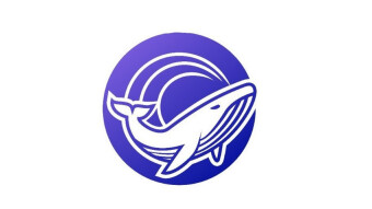 Become a Whale and Get Profit with WhaleMaker