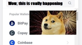 Dogecoin does have a real use case