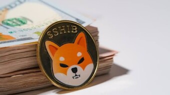 Shiba Inu explosive gains
