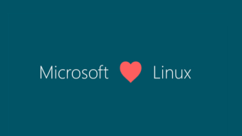 Will Windows 11 Run Using the Linux Kernel?
