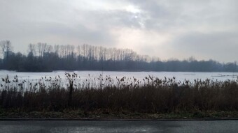 Foggy and humid day - My Actifit Report Card: February 24, 2025
