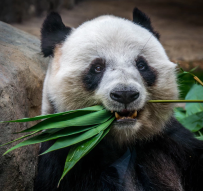 Bear Market Blues? You're in Great Company