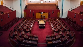 Algorand governance period 2 eligibility update — Feb. 9