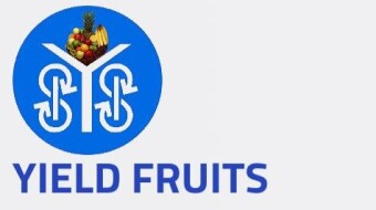 YieldFruitsFinance Airdrop