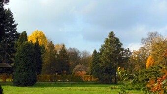 A beautiful day, autumn and warm, but these are probably the last such views - My Actifit Report Card: October 29 2024