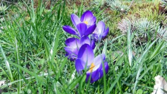 Monday, like the first days of summer - what weather! - My Actifit Report Card: March 4 2024