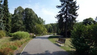 Today the trail led through my favorite park - the kilometers were worth it - My Actifit Report Card: August 27 2024