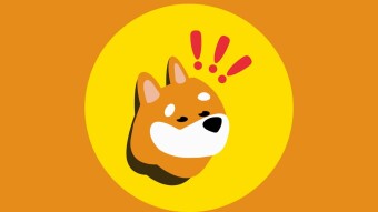 Bonk Price Warning: Bearish Technicals Warn of a Continued Drop