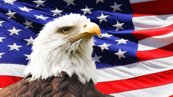Best states to live in (based on freedom)